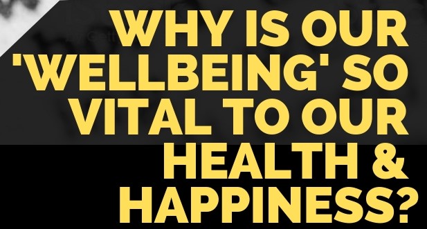 why is our wellbeing so vital to our health and happiness and how wellbeing niche bloggers play an important role