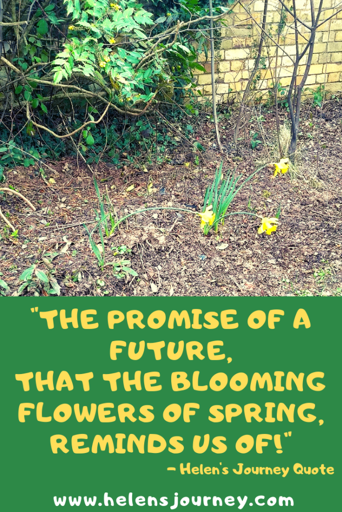 the promise of a future that blooming spring flowers reminds us of. blog post all about spring's message of hope by Helen's Journey www.helensjourney.com